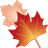 hand cursor
