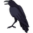 hand cursor